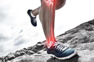 fisiología del ejercicio