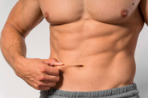 partes abdominales